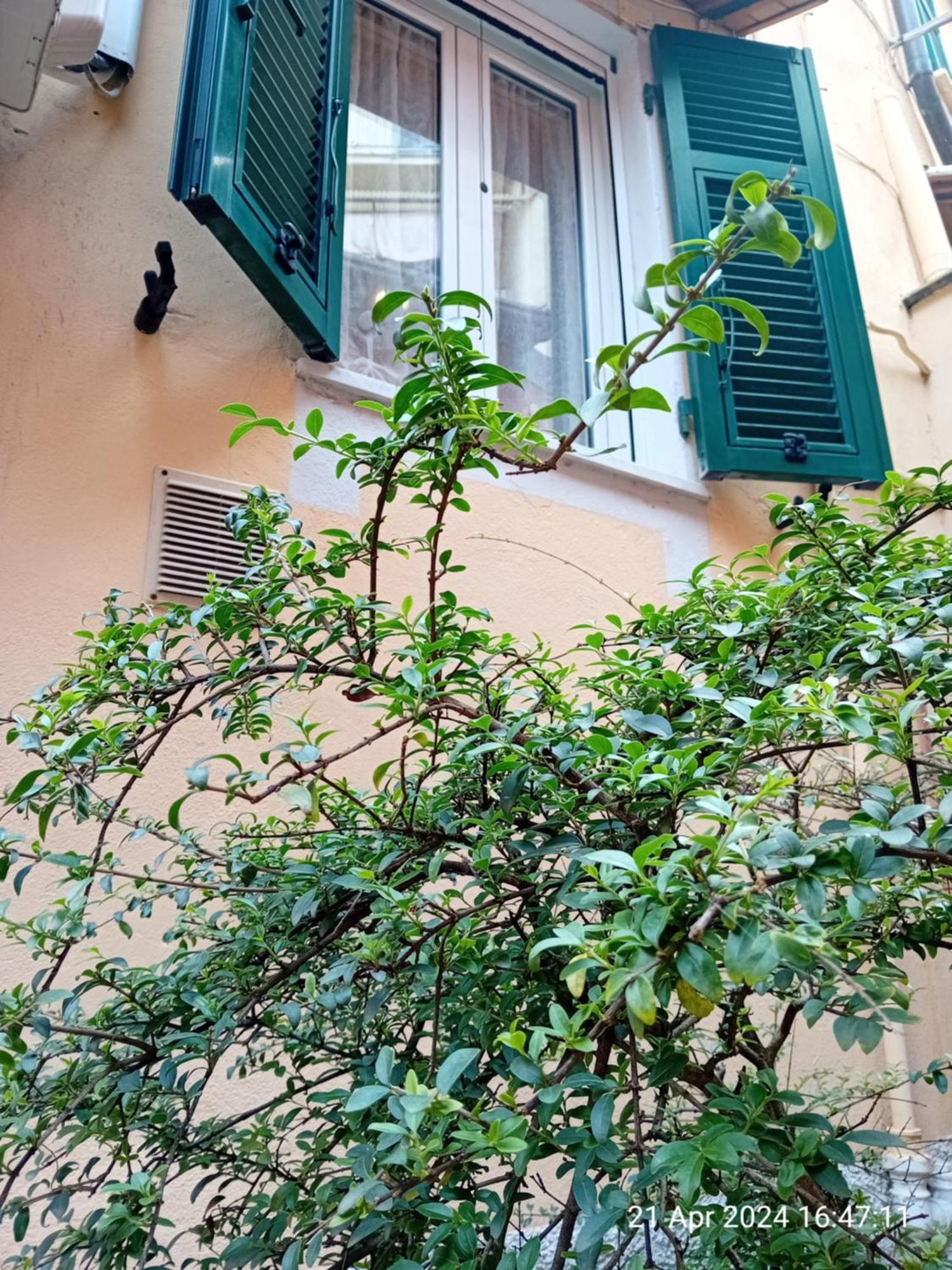Appartamento Il Vicolo La Spezia Cinque Terre Екстер'єр фото