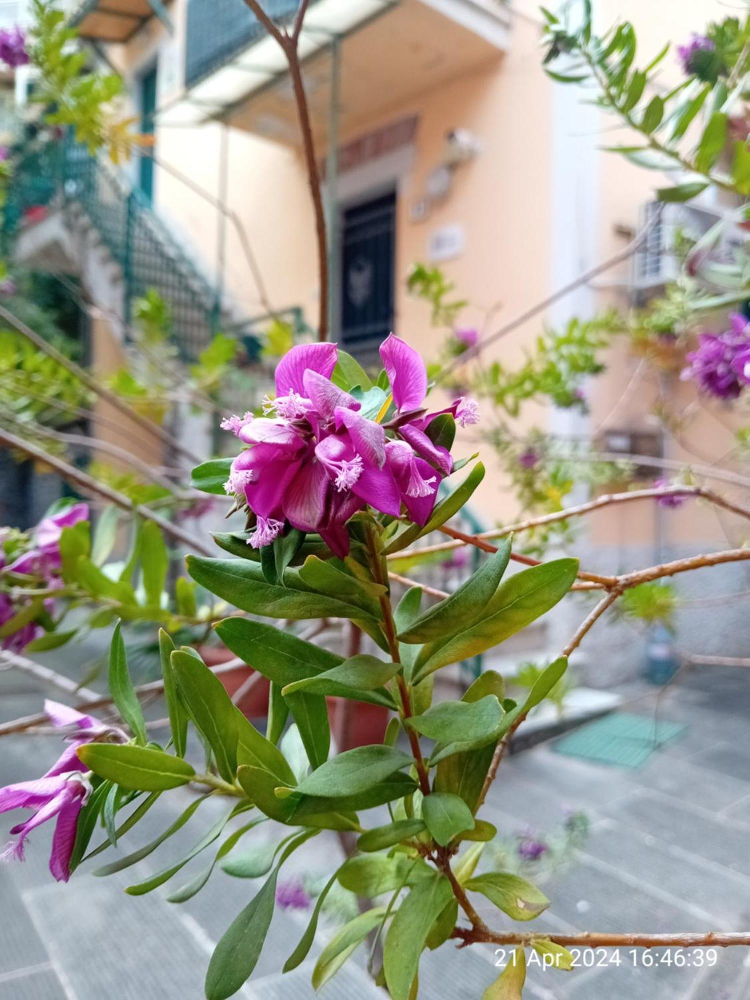 Appartamento Il Vicolo La Spezia Cinque Terre Екстер'єр фото