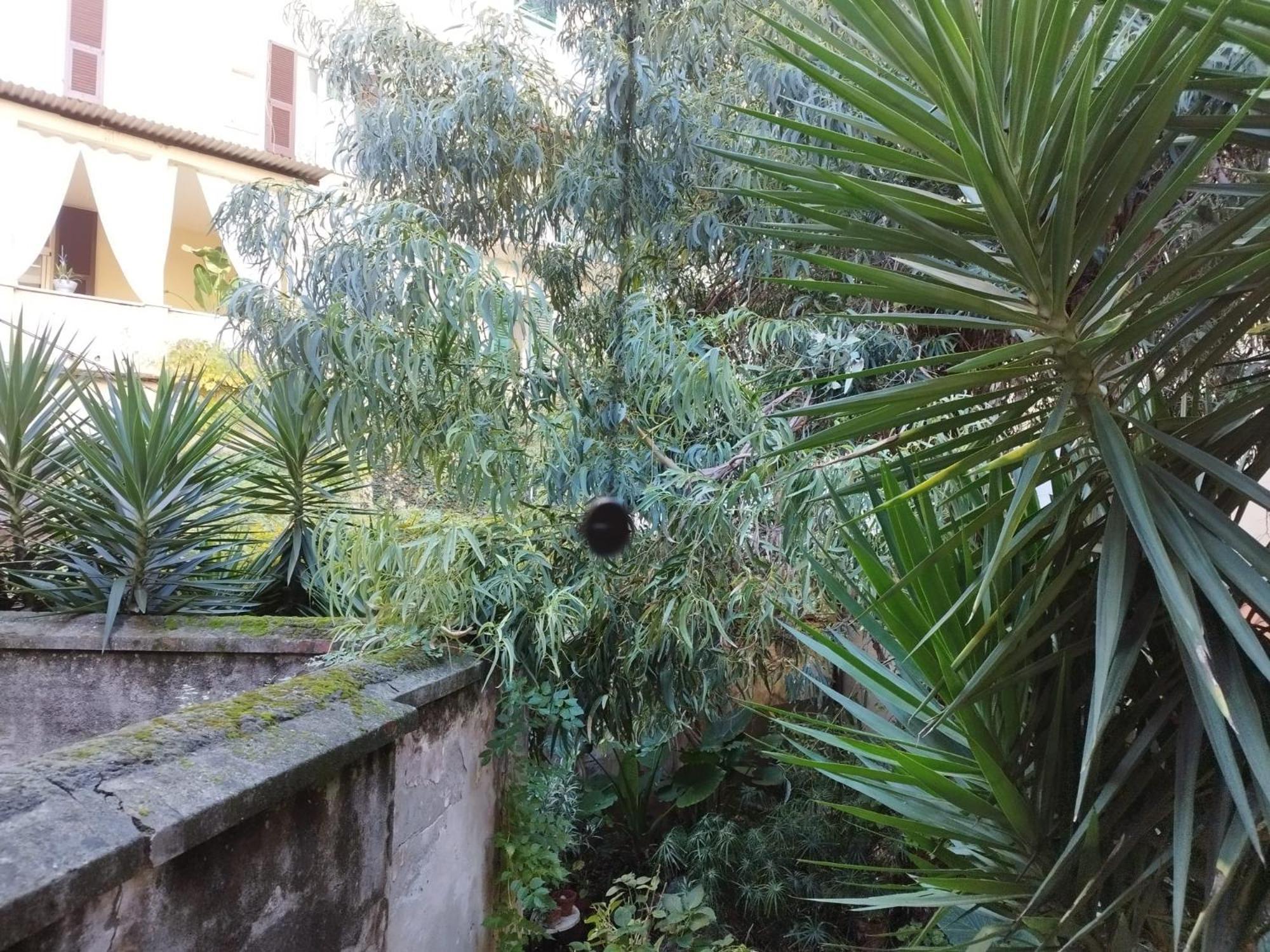 Appartamento Il Vicolo La Spezia Cinque Terre Екстер'єр фото